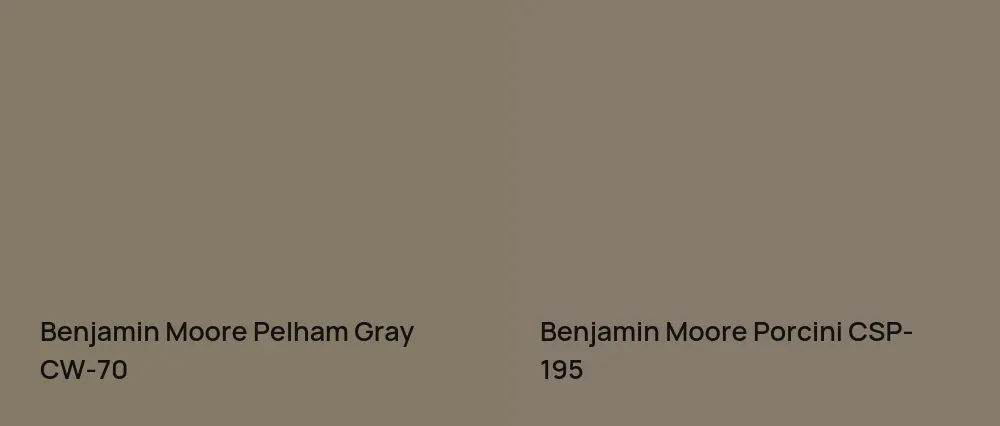 Benjamin Moore Pelham Gray CW-70 vs Benjamin Moore Porcini CSP-195