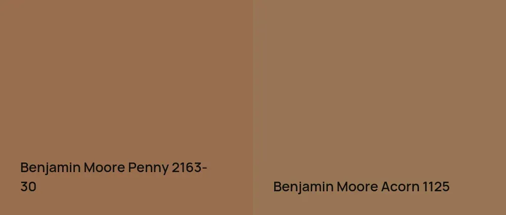 Benjamin Moore Penny 2163-30 vs Benjamin Moore Acorn 1125
