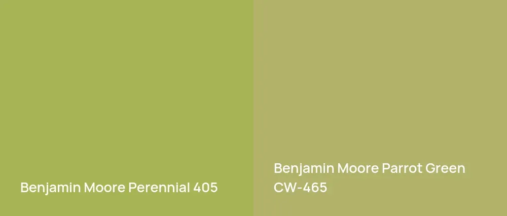 Benjamin Moore Perennial 405 vs Benjamin Moore Parrot Green CW-465