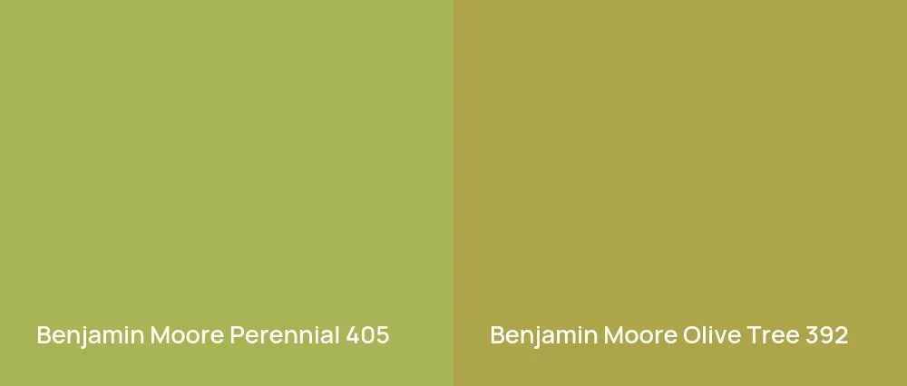 Benjamin Moore Perennial 405 vs Benjamin Moore Olive Tree 392