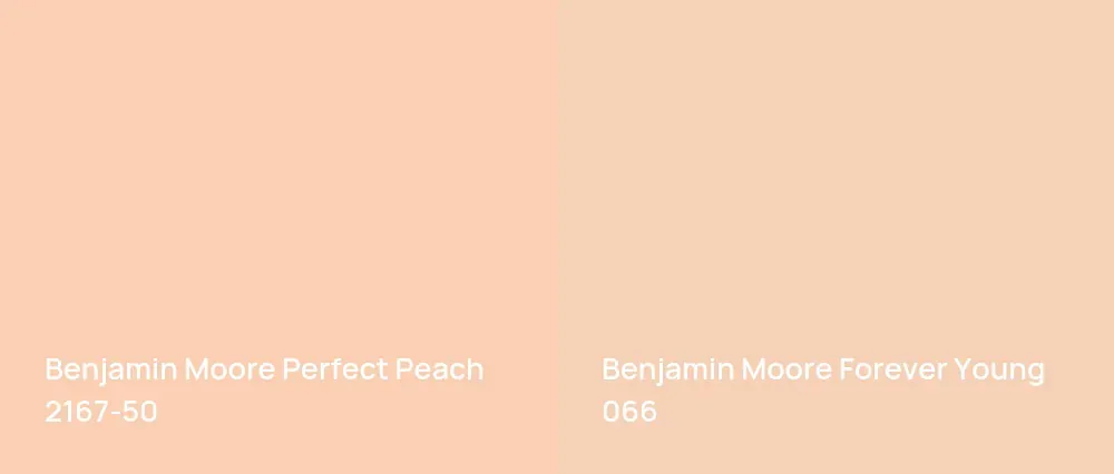 Benjamin Moore Perfect Peach 2167-50 vs Benjamin Moore Forever Young 066