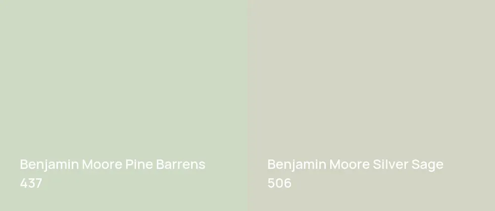 Benjamin Moore Pine Barrens 437 vs Benjamin Moore Silver Sage 506