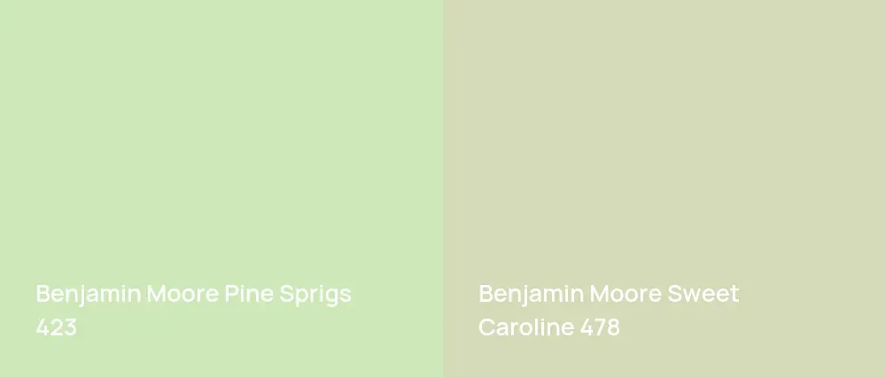 Benjamin Moore Pine Sprigs 423 vs Benjamin Moore Sweet Caroline 478