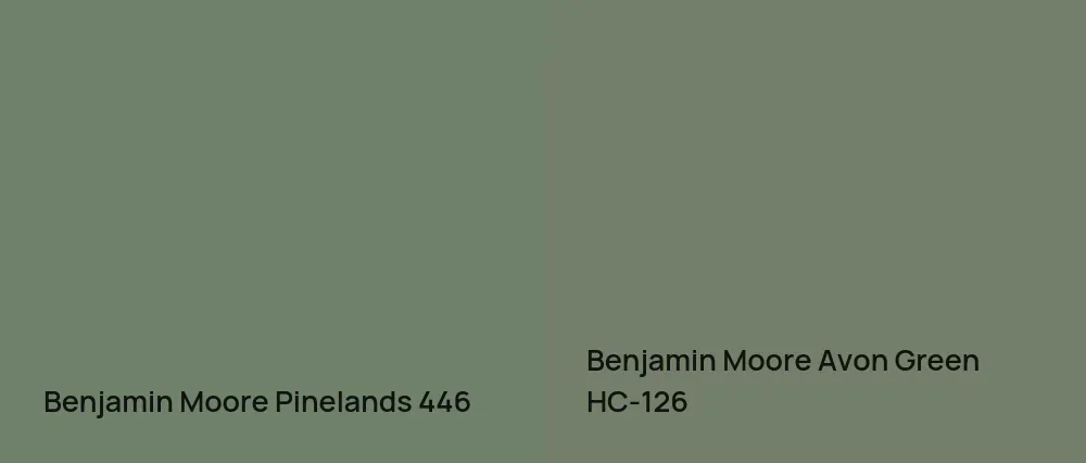 Benjamin Moore Pinelands 446 vs Benjamin Moore Avon Green HC-126