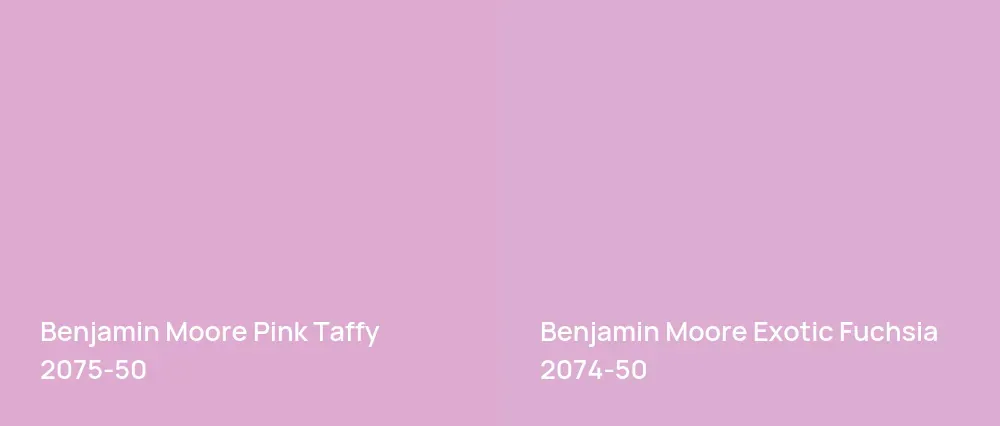Benjamin Moore Pink Taffy 2075-50 vs Benjamin Moore Exotic Fuchsia 2074-50