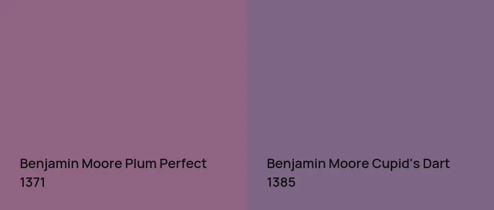 Benjamin Moore Plum Perfect 1371 vs Benjamin Moore Cupid's Dart 1385