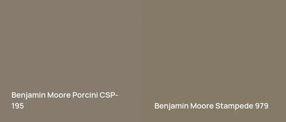 Benjamin Moore Porcini CSP-195 vs Benjamin Moore Stampede 979