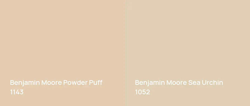 Benjamin Moore Powder Puff 1143 vs Benjamin Moore Sea Urchin 1052