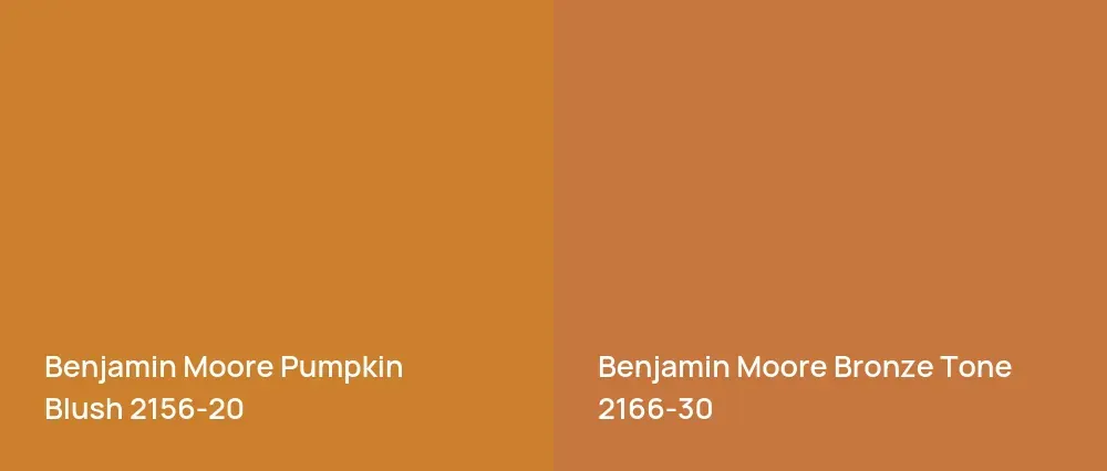 Benjamin Moore Pumpkin Blush 2156-20 vs Benjamin Moore Bronze Tone 2166-30