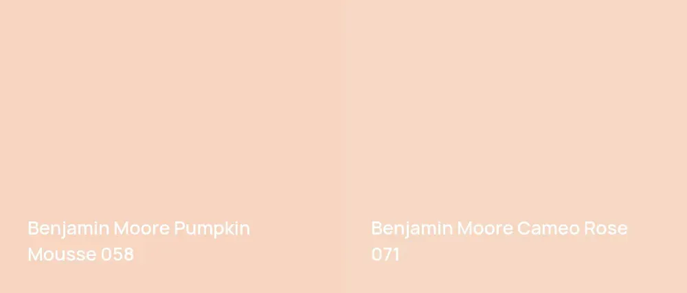 Benjamin Moore Pumpkin Mousse 058 vs Benjamin Moore Cameo Rose 071