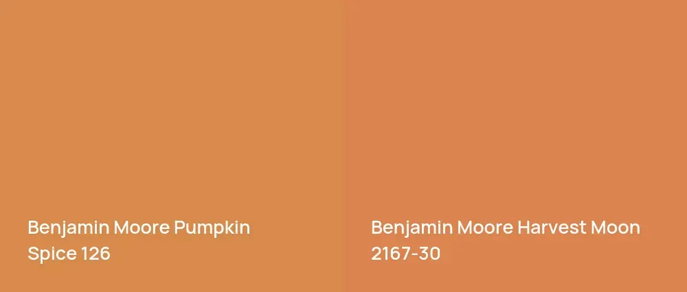 Benjamin Moore Pumpkin Spice 126 vs Benjamin Moore Harvest Moon 2167-30