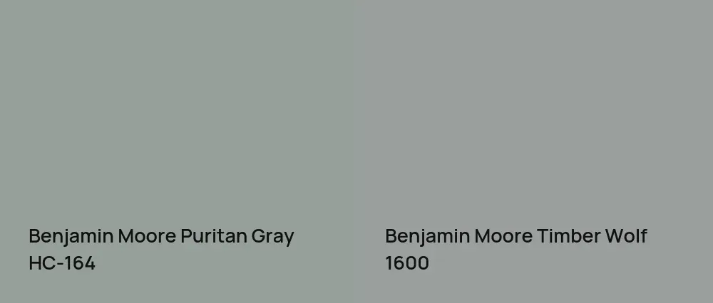 Benjamin Moore Puritan Gray HC-164 vs Benjamin Moore Timber Wolf 1600