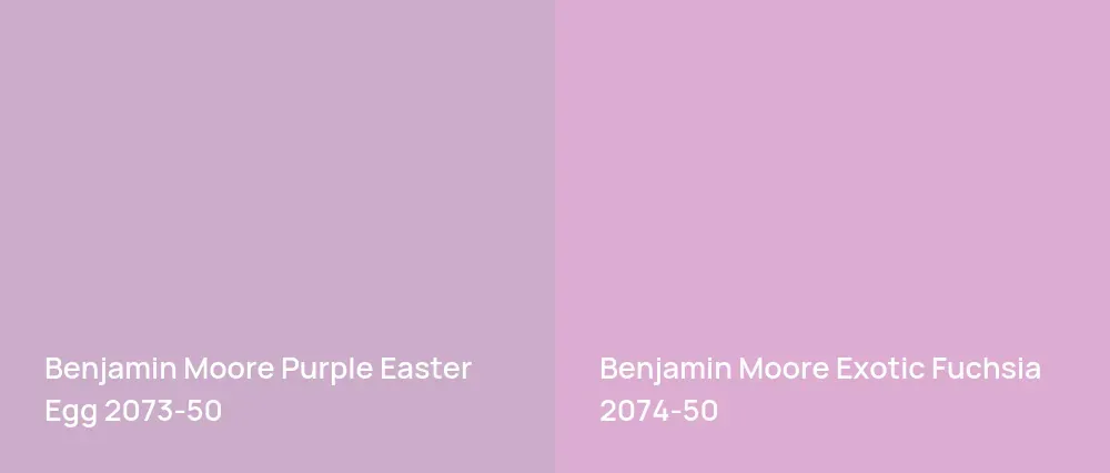 Benjamin Moore Purple Easter Egg 2073-50 vs Benjamin Moore Exotic Fuchsia 2074-50