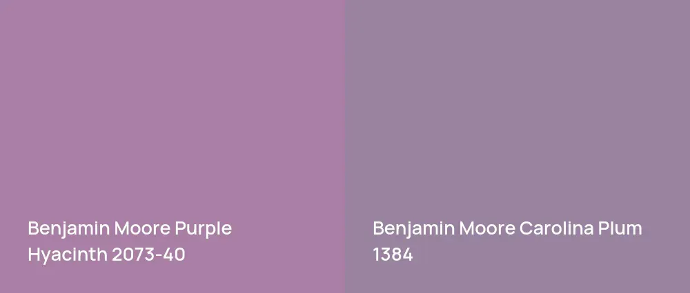 Benjamin Moore Purple Hyacinth 2073-40 vs Benjamin Moore Carolina Plum 1384