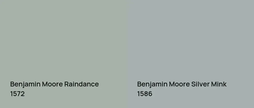 Benjamin Moore Raindance 1572 vs Benjamin Moore Silver Mink 1586
