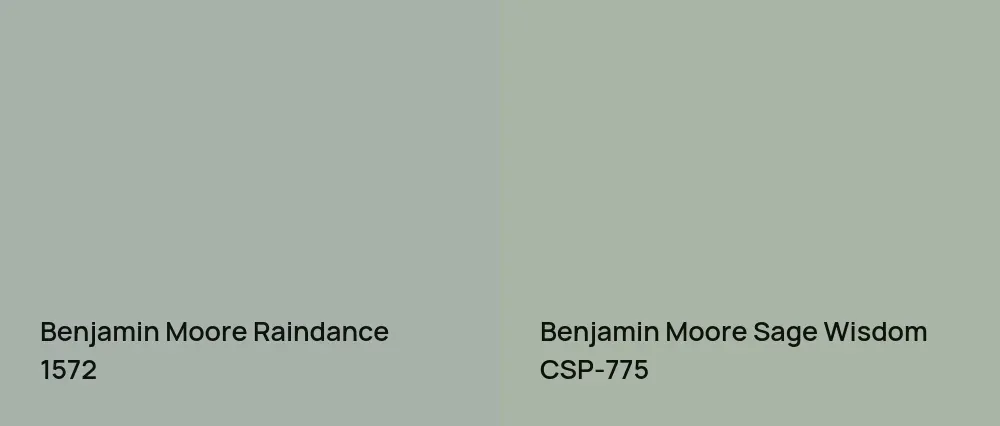 Benjamin Moore Raindance 1572 vs Benjamin Moore Sage Wisdom CSP-775