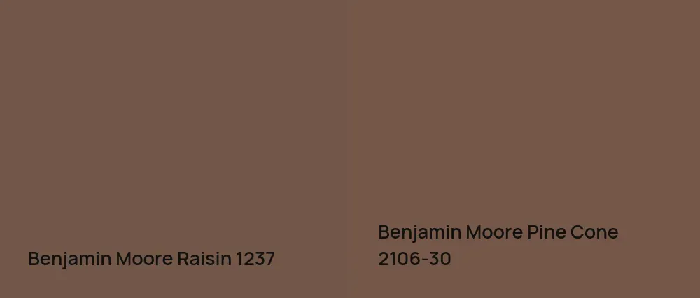 Benjamin Moore Raisin 1237 vs Benjamin Moore Pine Cone 2106-30