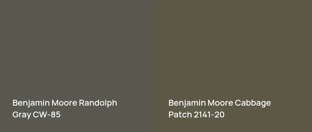 Benjamin Moore Randolph Gray CW-85 vs Benjamin Moore Cabbage Patch 2141-20