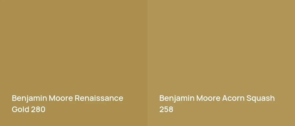 Benjamin Moore Renaissance Gold 280 vs Benjamin Moore Acorn Squash 258