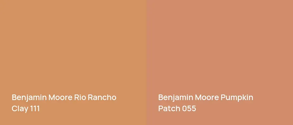 Benjamin Moore Rio Rancho Clay 111 vs Benjamin Moore Pumpkin Patch 055