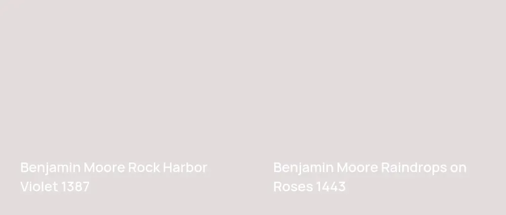 Benjamin Moore Rock Harbor Violet 1387 vs Benjamin Moore Raindrops on Roses 1443