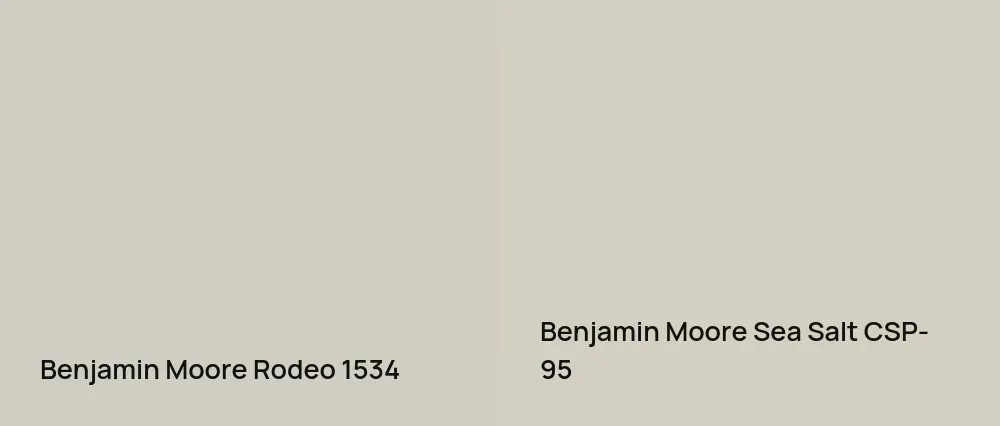 Benjamin Moore Rodeo 1534 vs Benjamin Moore Sea Salt CSP-95