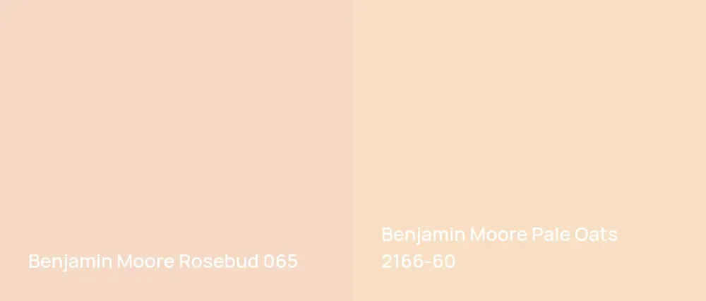 Benjamin Moore Rosebud 065 vs Benjamin Moore Pale Oats 2166-60