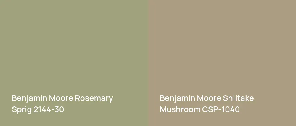Benjamin Moore Rosemary Sprig 2144-30 vs Benjamin Moore Shiitake Mushroom CSP-1040