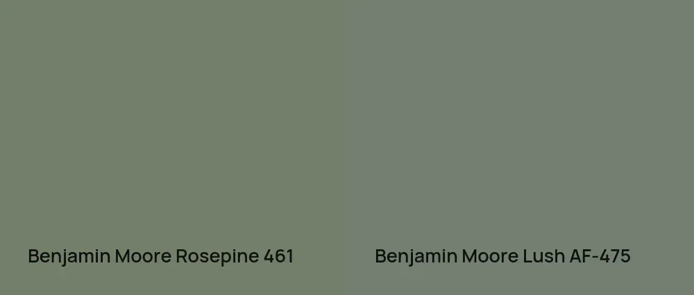 Benjamin Moore Rosepine 461 vs Benjamin Moore Lush AF-475