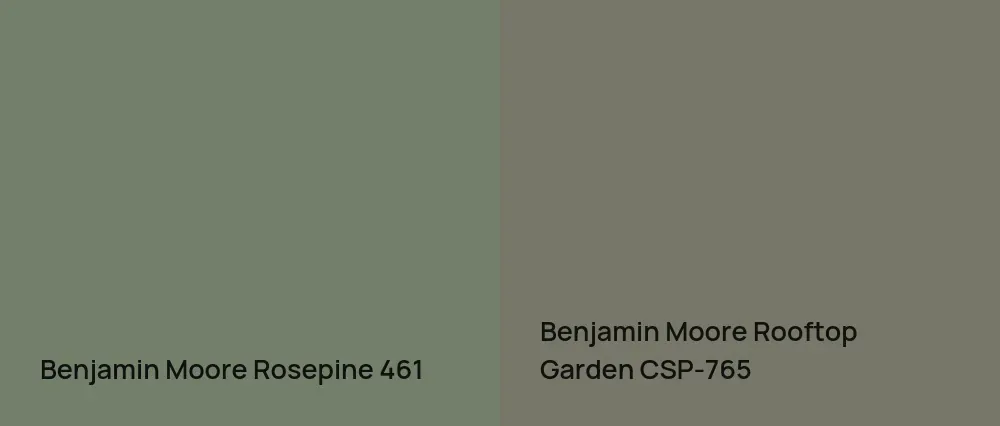 Benjamin Moore Rosepine 461 vs Benjamin Moore Rooftop Garden CSP-765