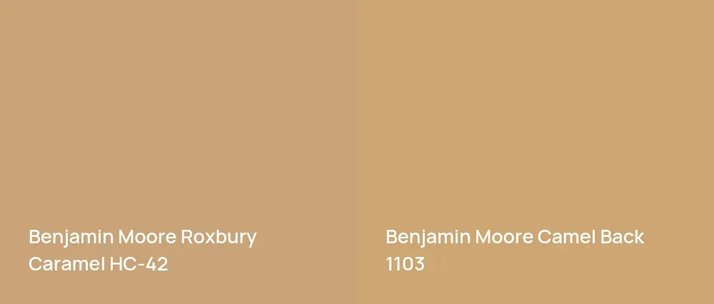 Benjamin Moore Roxbury Caramel HC-42 vs Benjamin Moore Camel Back 1103