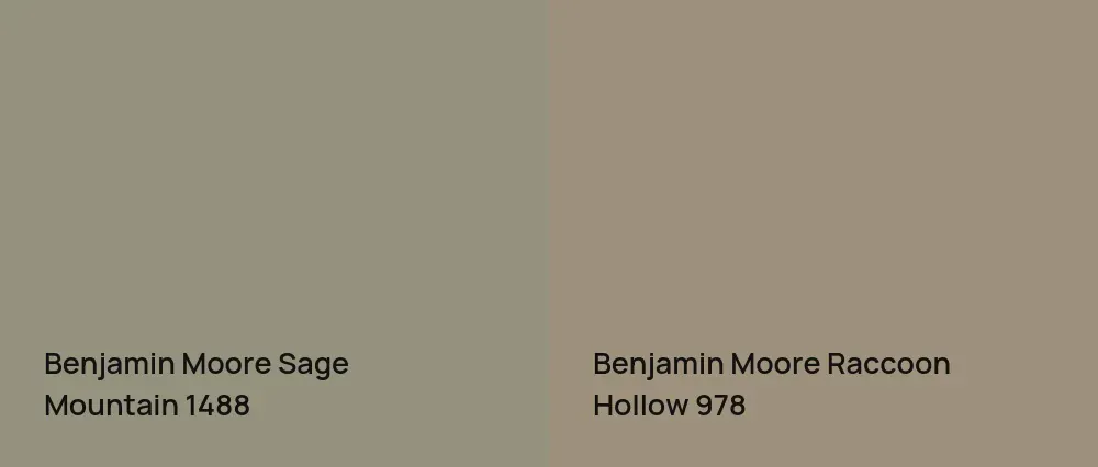 Benjamin Moore Sage Mountain 1488 vs Benjamin Moore Raccoon Hollow 978