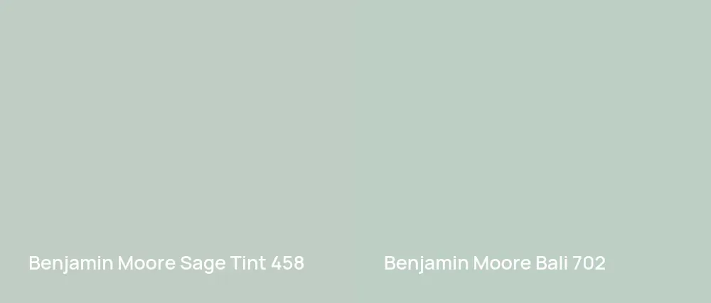 Benjamin Moore Sage Tint 458 vs Benjamin Moore Bali 702