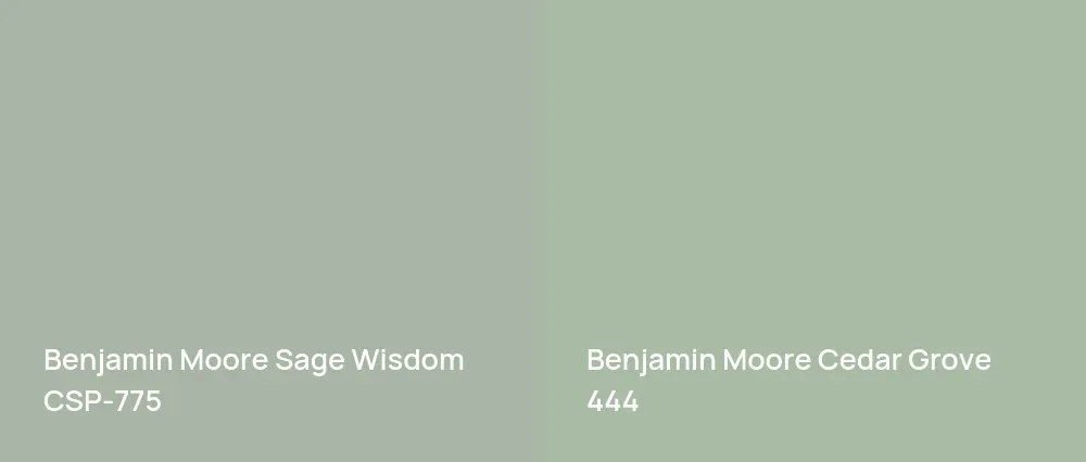 Benjamin Moore Sage Wisdom CSP-775 vs Benjamin Moore Cedar Grove 444