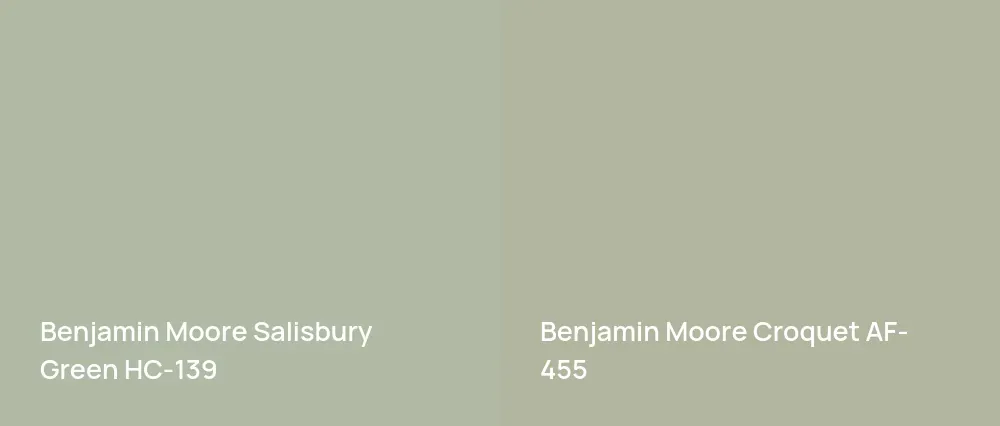 Benjamin Moore Salisbury Green HC-139 vs Benjamin Moore Croquet AF-455