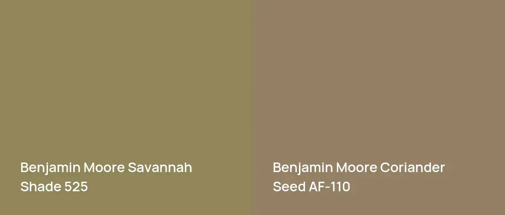Benjamin Moore Savannah Shade 525 vs Benjamin Moore Coriander Seed AF-110