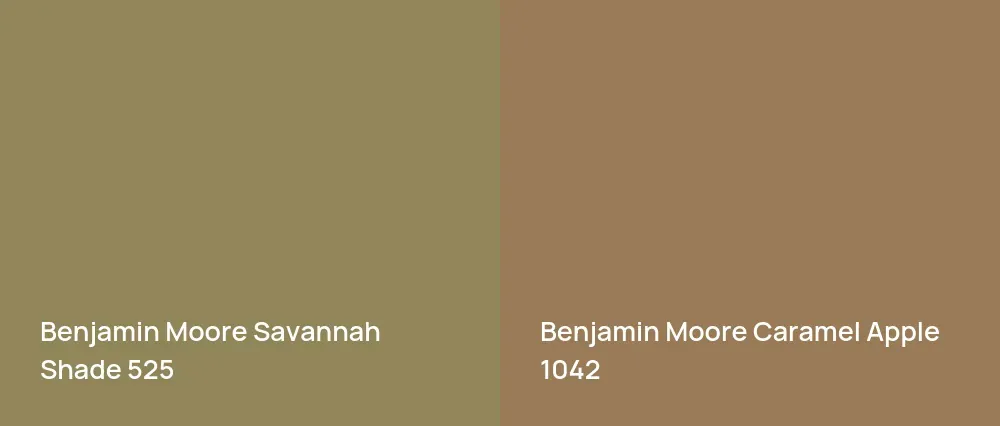 Benjamin Moore Savannah Shade 525 vs Benjamin Moore Caramel Apple 1042