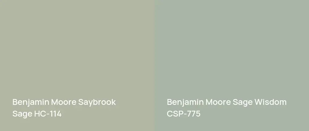 Benjamin Moore Saybrook Sage HC-114 vs Benjamin Moore Sage Wisdom CSP-775