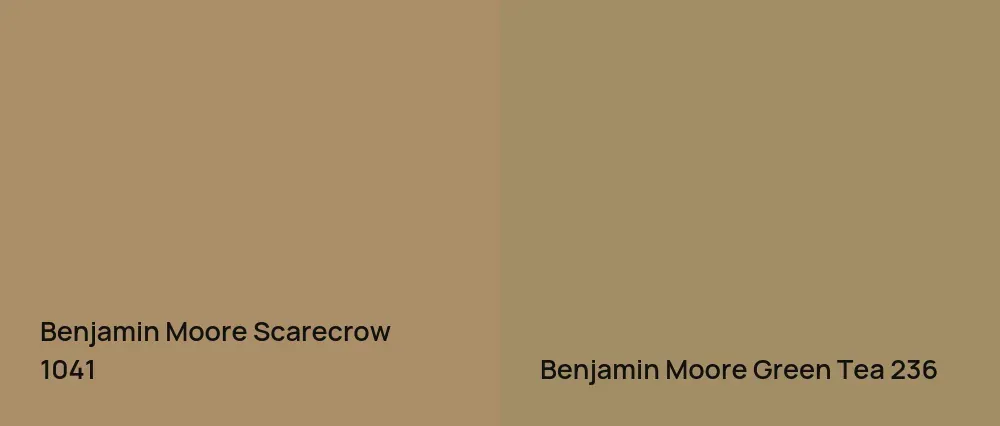 Benjamin Moore Scarecrow 1041 vs Benjamin Moore Green Tea 236