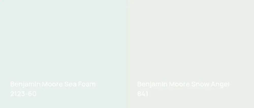 Benjamin Moore Sea Foam 2123-60 vs Benjamin Moore Snow Angel 841