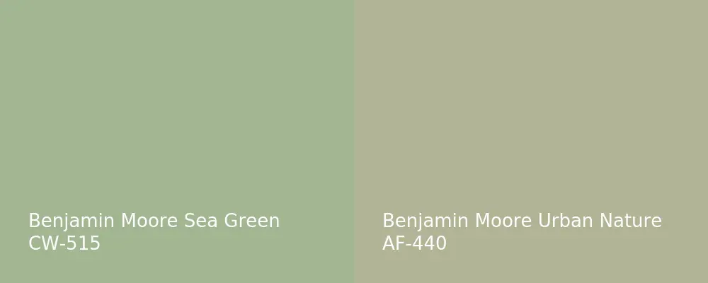 Benjamin Moore Sea Green CW-515 vs Benjamin Moore Urban Nature AF-440
