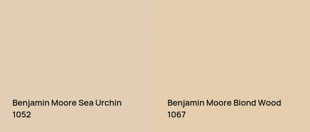 Benjamin Moore Sea Urchin 1052 vs Benjamin Moore Blond Wood 1067