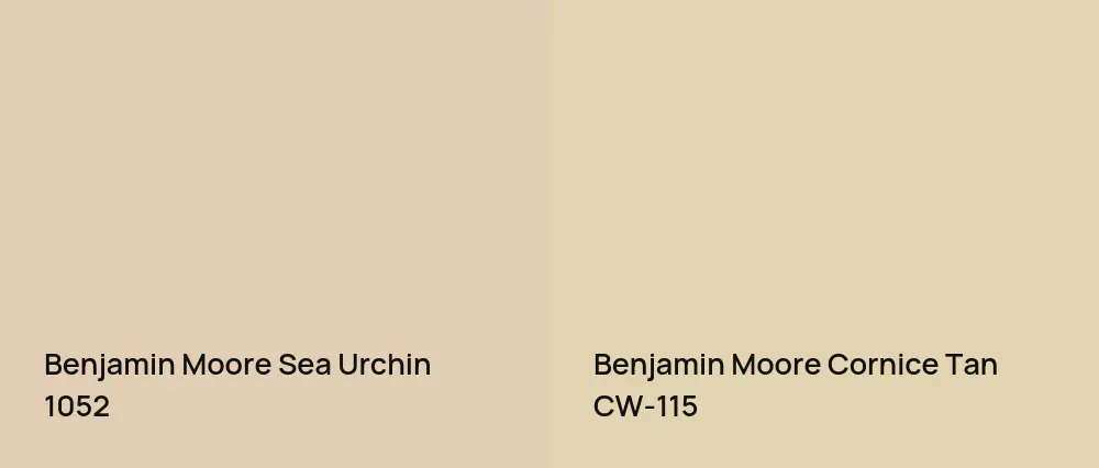 Benjamin Moore Sea Urchin 1052 vs Benjamin Moore Cornice Tan CW-115