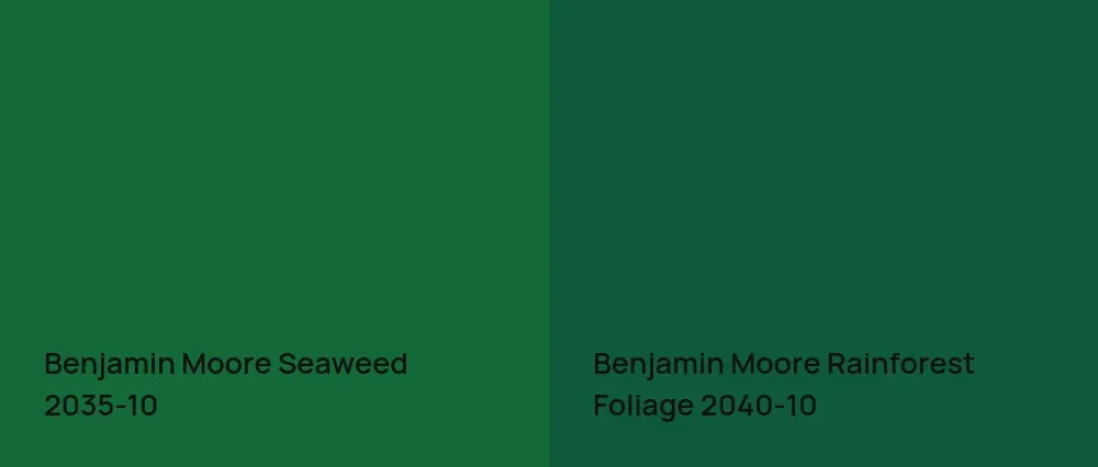 Benjamin Moore Seaweed 2035-10 vs Benjamin Moore Rainforest Foliage 2040-10