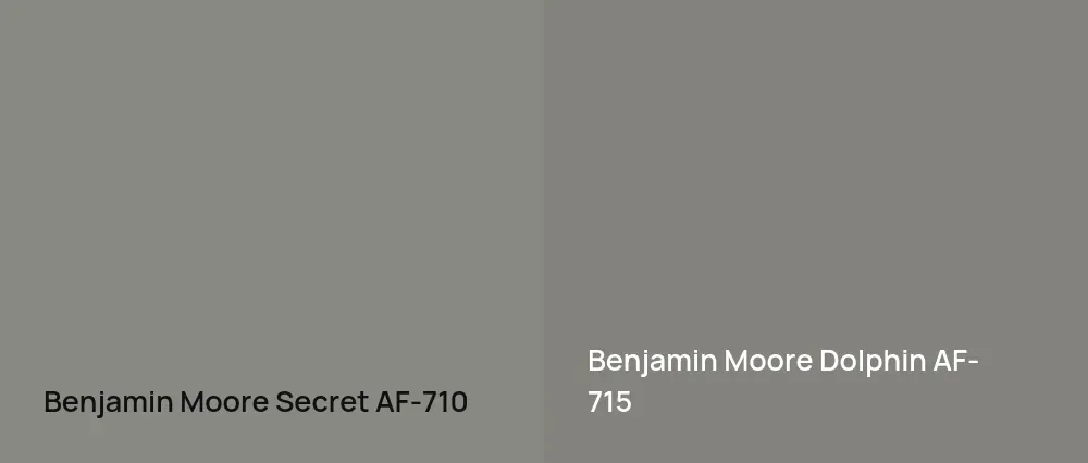 Benjamin Moore Secret AF-710 vs Benjamin Moore Dolphin AF-715