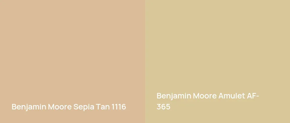 Benjamin Moore Sepia Tan 1116 vs Benjamin Moore Amulet AF-365