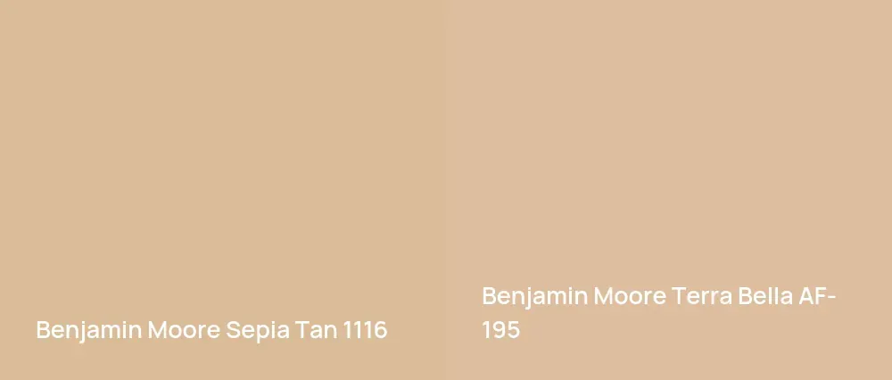 Benjamin Moore Sepia Tan 1116 vs Benjamin Moore Terra Bella AF-195
