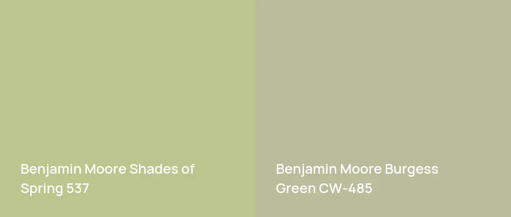 Benjamin Moore Shades of Spring 537 vs Benjamin Moore Burgess Green CW-485