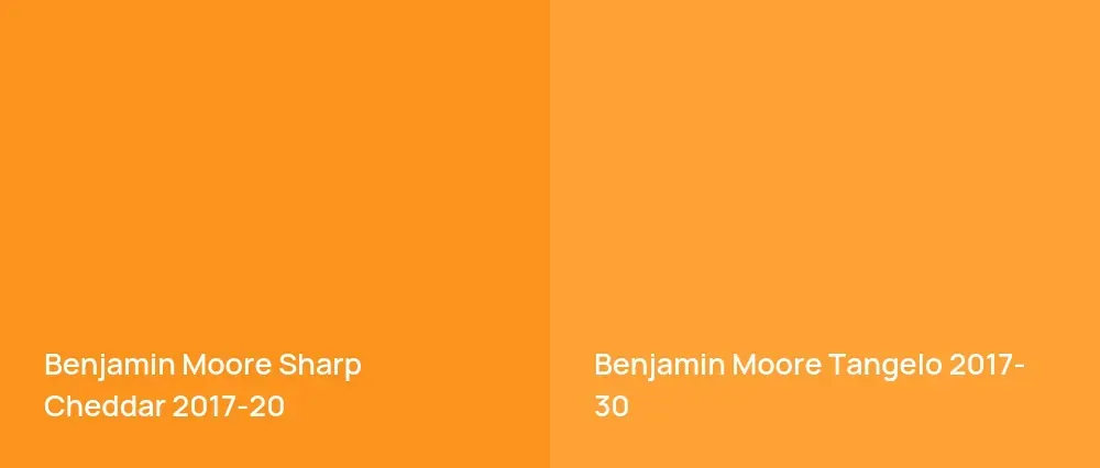 Benjamin Moore Sharp Cheddar 2017-20 vs Benjamin Moore Tangelo 2017-30