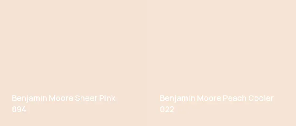 Benjamin Moore Sheer Pink 894 vs Benjamin Moore Peach Cooler 022